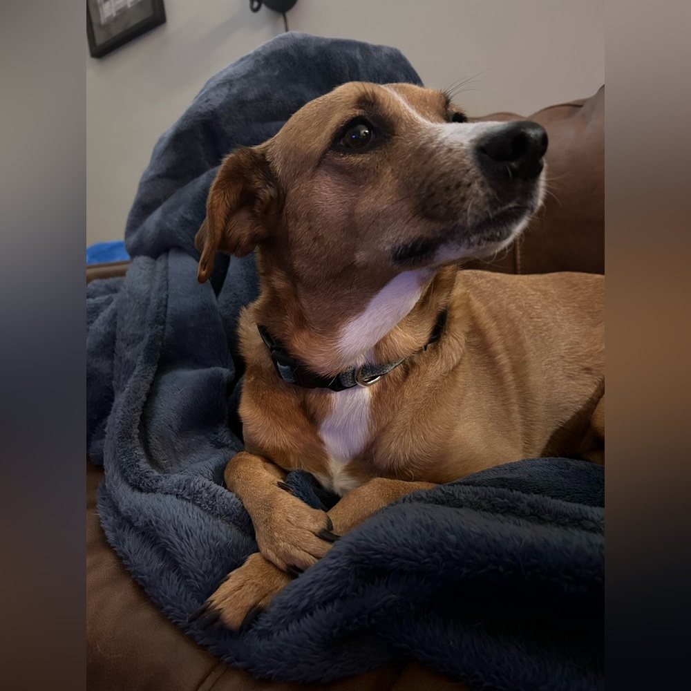 Meet your Posher, Alex